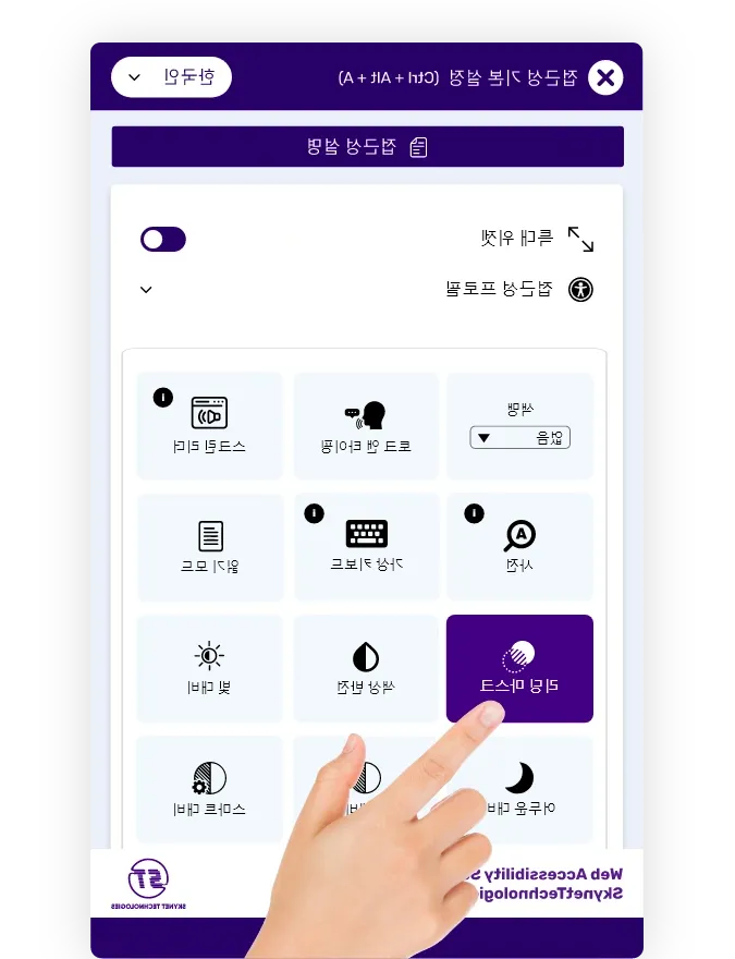 Korean website accessibility solution